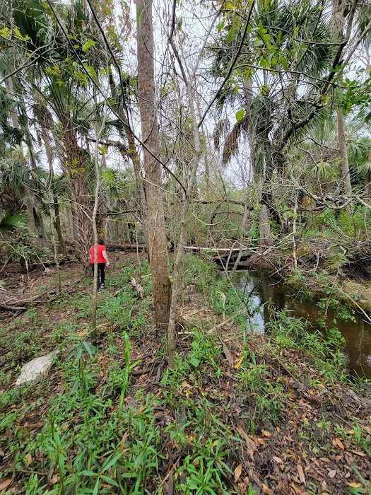 Pellizze Park 6