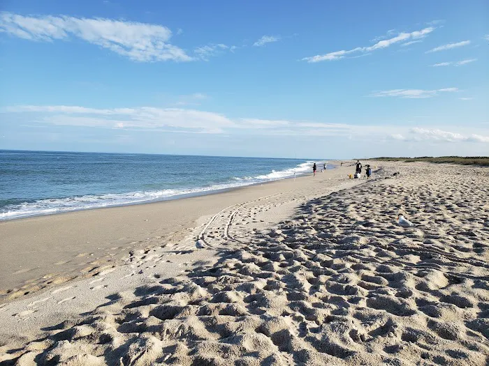 Sebastian Inlet State Park Campground 1