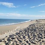 Sebastian Inlet State Park Campground