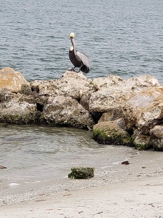 Sebastian Inlet State Park Campground 8