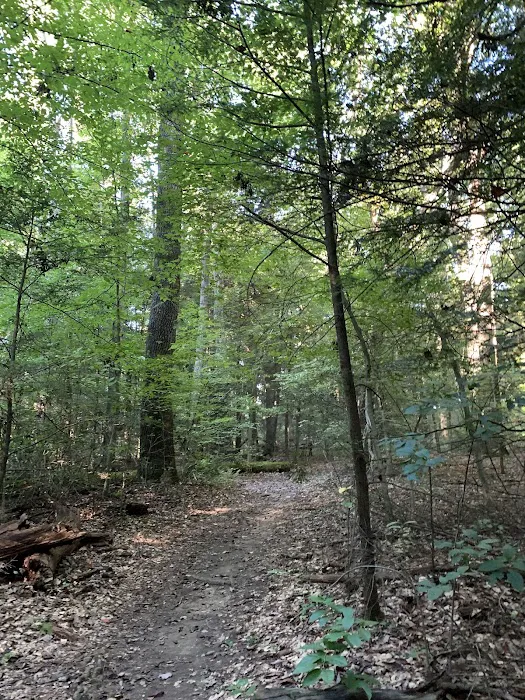 NPS Burnwood Group Campground 2
