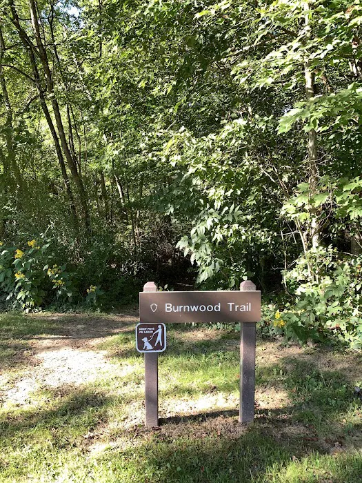 NPS Burnwood Group Campground 10