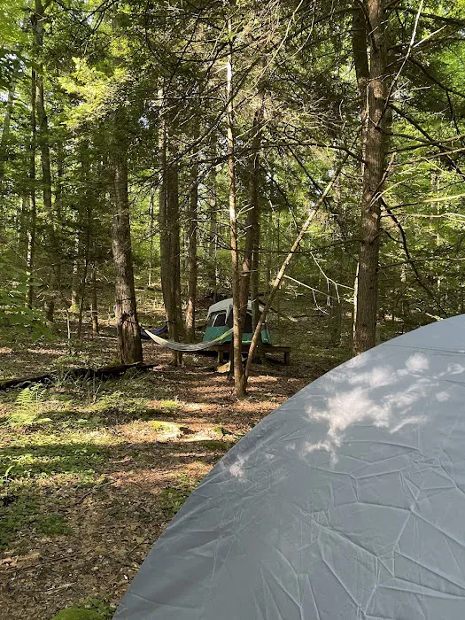 New River Gorge Campground - American Alpine Club 8