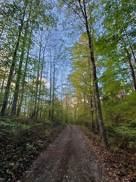 Chestnut Creek Campground 3