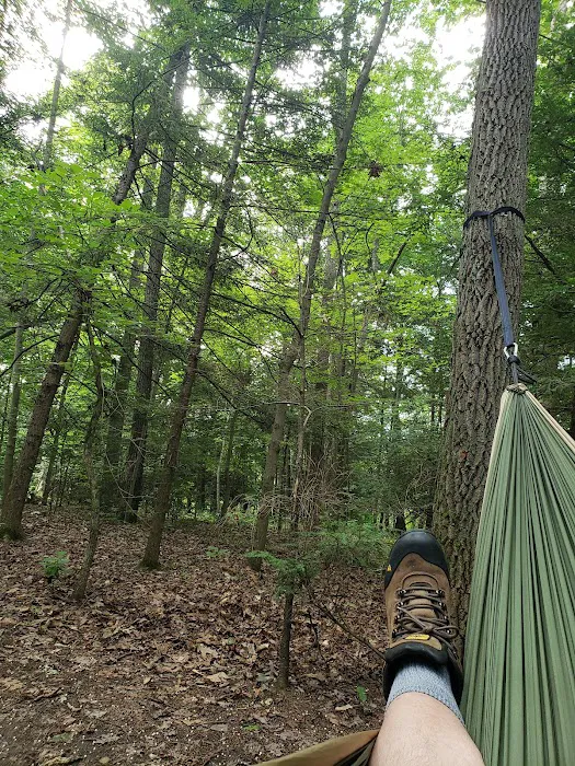 Chestnut Creek Campground 4