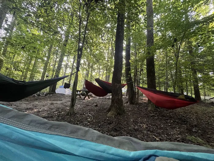 Chestnut Creek Campground 2