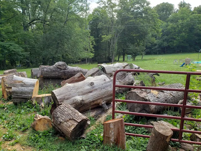 Chestnut Creek Campground 8