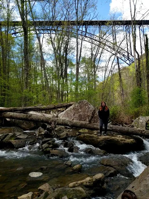 Chestnut Creek Campground 10