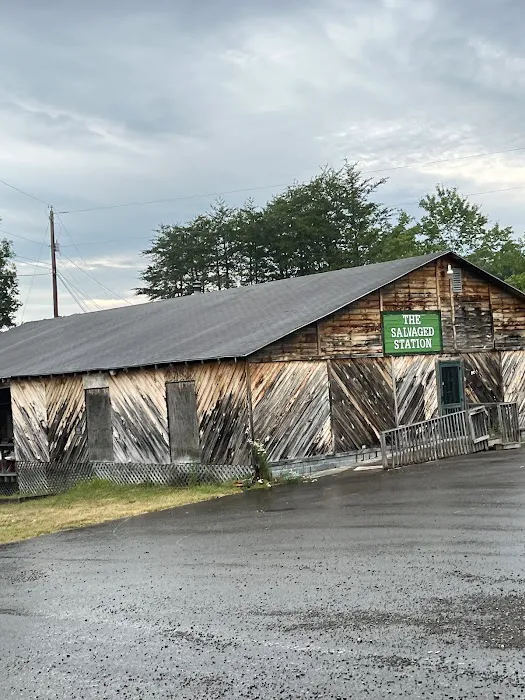 New River Gorge Campground 6