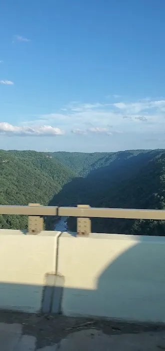 New River Gorge Campground 10