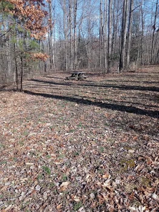 Midland Trail Campground 10