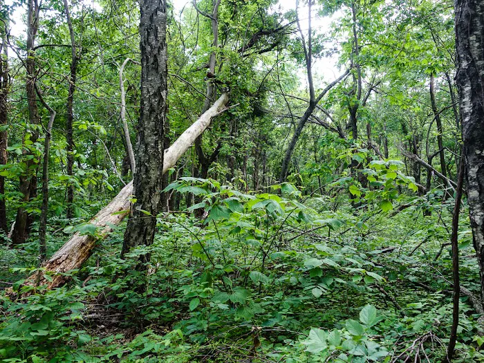 Dundo Group Campground 9