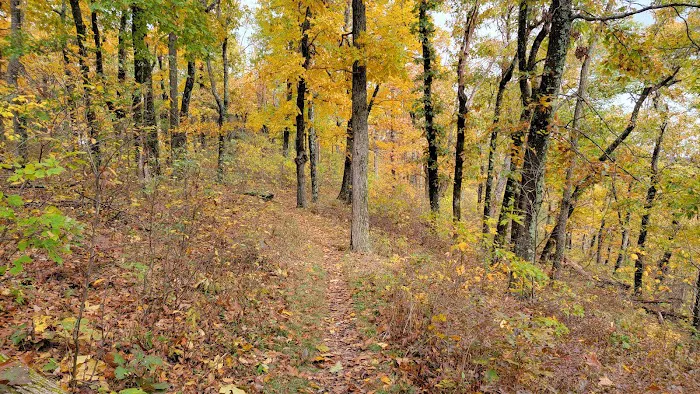 Dundo Group Campground 8