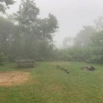 Loft Mountain Campground