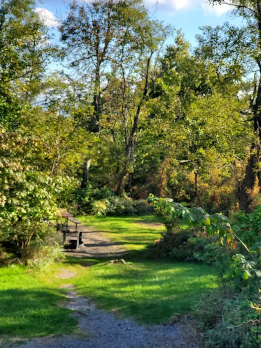 Loft Mountain Campground 6