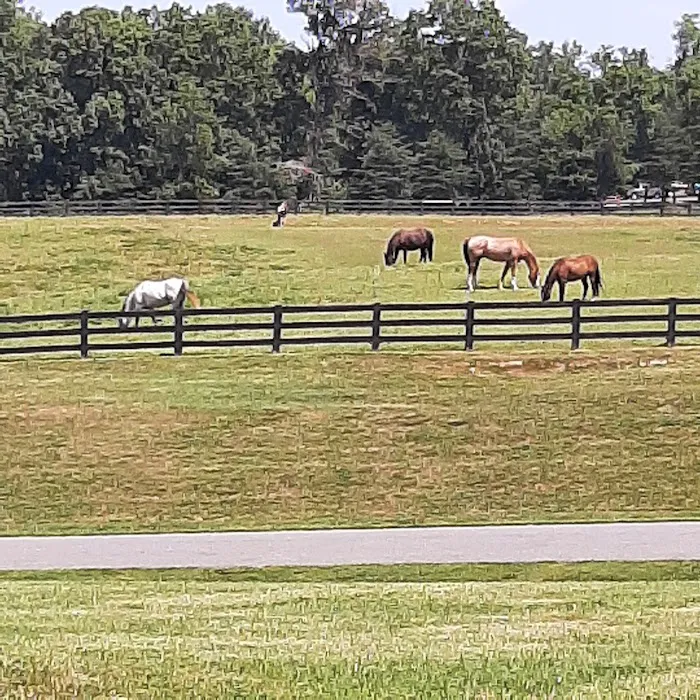Shenandoah Crossing Resort RV Park 5