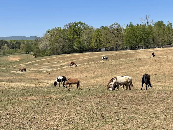 Shenandoah Crossing Resort RV Park 10