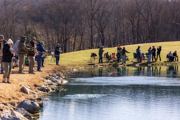 Shenandoah Valley Campground 7