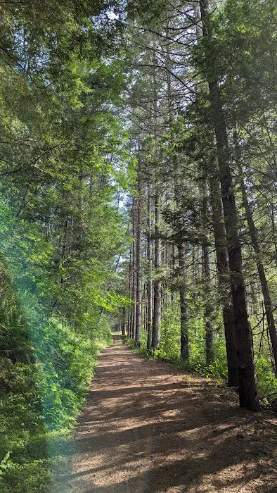 Boyer Station Campground 8