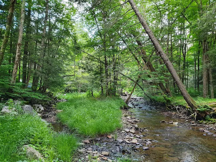 Island Campground 3