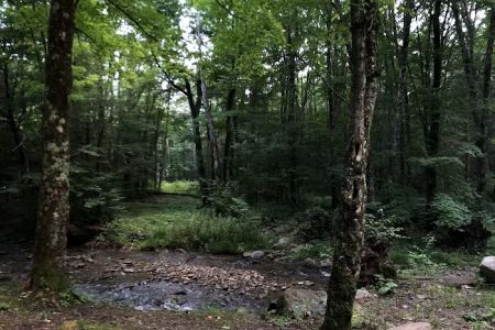 Island Campground