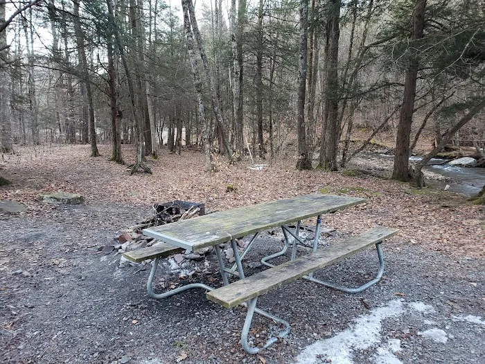 Island Campground 6