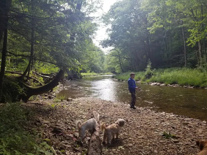 Island Campground 4