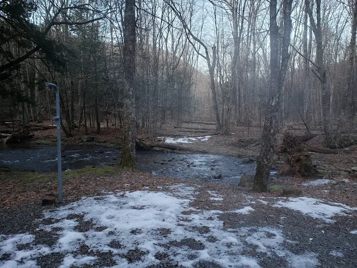 Island Campground 9