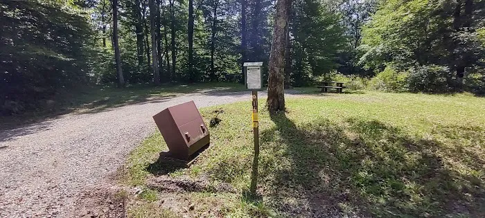 Williams River Campsite 1 1