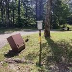 Williams River Campsite 1