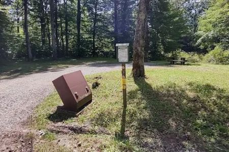 Williams River Campsite 1