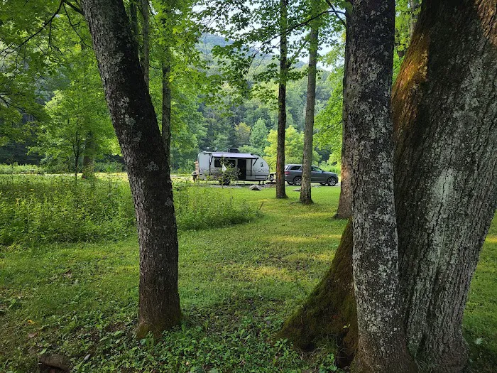 Cranberry Campground 4