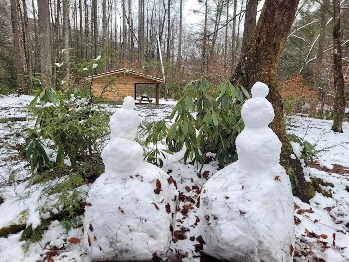 Cranberry Campground 7