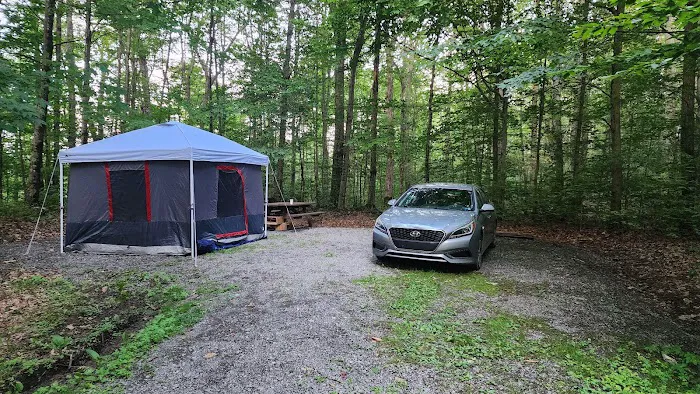 Bishop Knob Campground 1