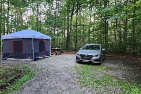 Bishop Knob Campground