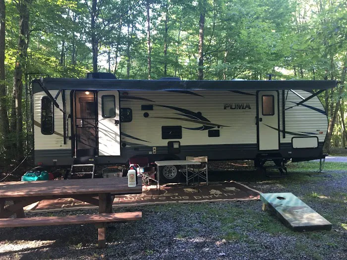 Bishop Knob Campground 3