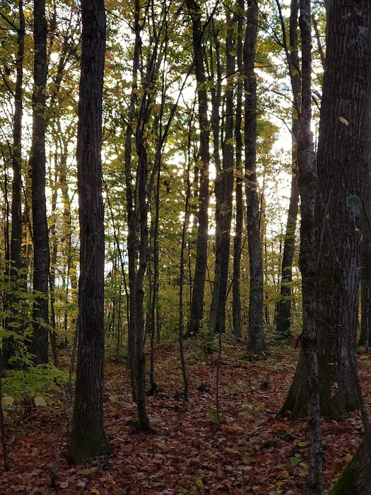 Bishop Knob Campground 8