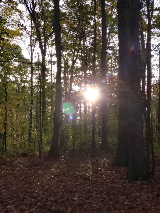 Bishop Knob Campground 7