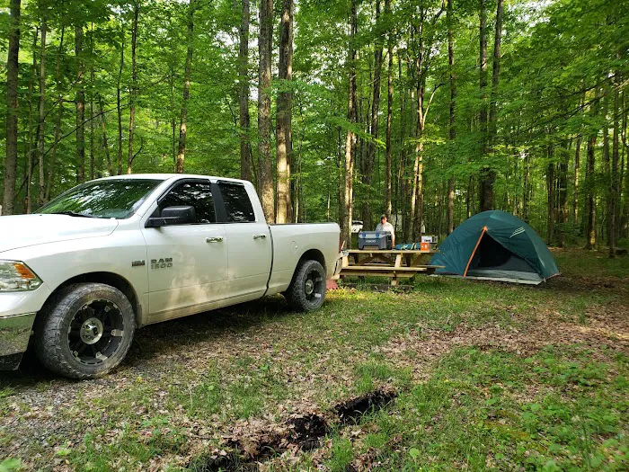 Bishop Knob Campground 5