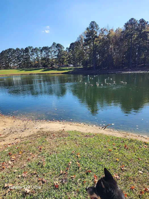 Amelia Family Campground 4