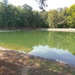 Amelia Family Campground