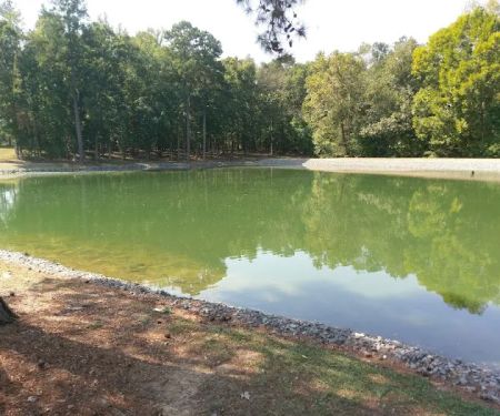 Amelia Family Campground