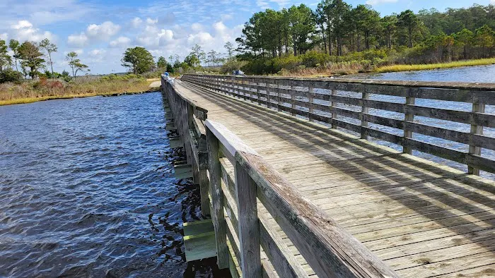 Rose Bay Preserve Campground 7