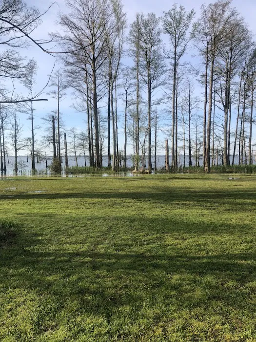 Osprey Nest Campground 2