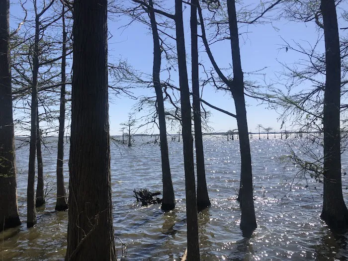 Osprey Nest Campground 1