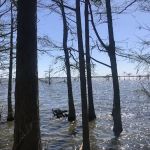 Osprey Nest Campground