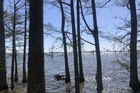 Osprey Nest Campground
