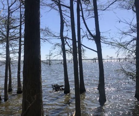 Osprey Nest Campground
