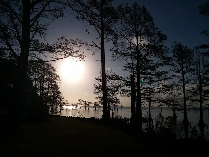Osprey Nest Campground 8