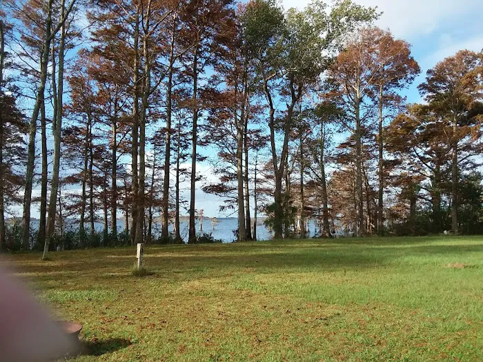 Osprey Nest Campground 10
